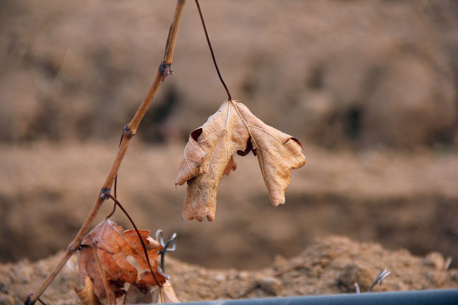 15487467427497.jpg IMG_4657_副本.jpg