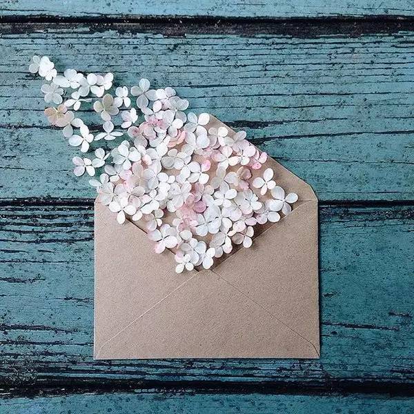 您有封信，請(qǐng)查收