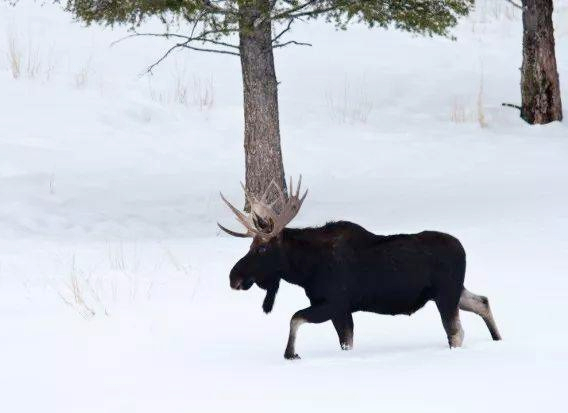 15770017271624.jpg 2f42449f43ce4a919d429fa555affa2e.jpg