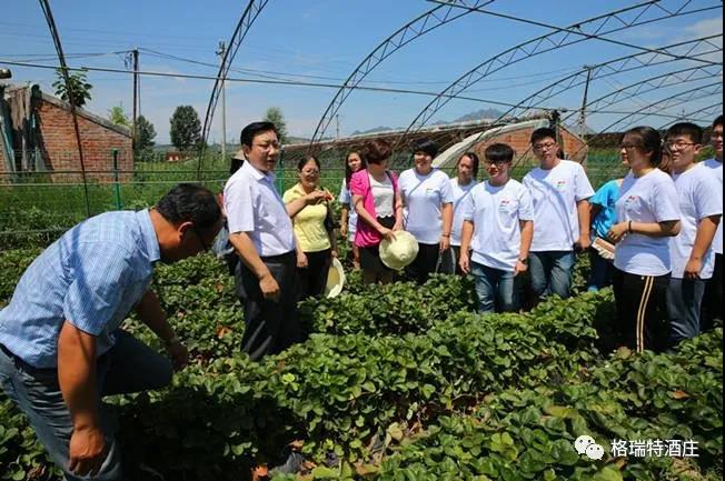 16006601241764.jpg 9.jpg