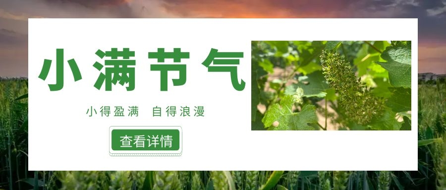 小滿 ▎小得盈滿，自得浪漫~