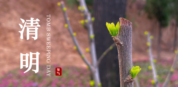 清明 ▎新風潤雨，萬物皆顯