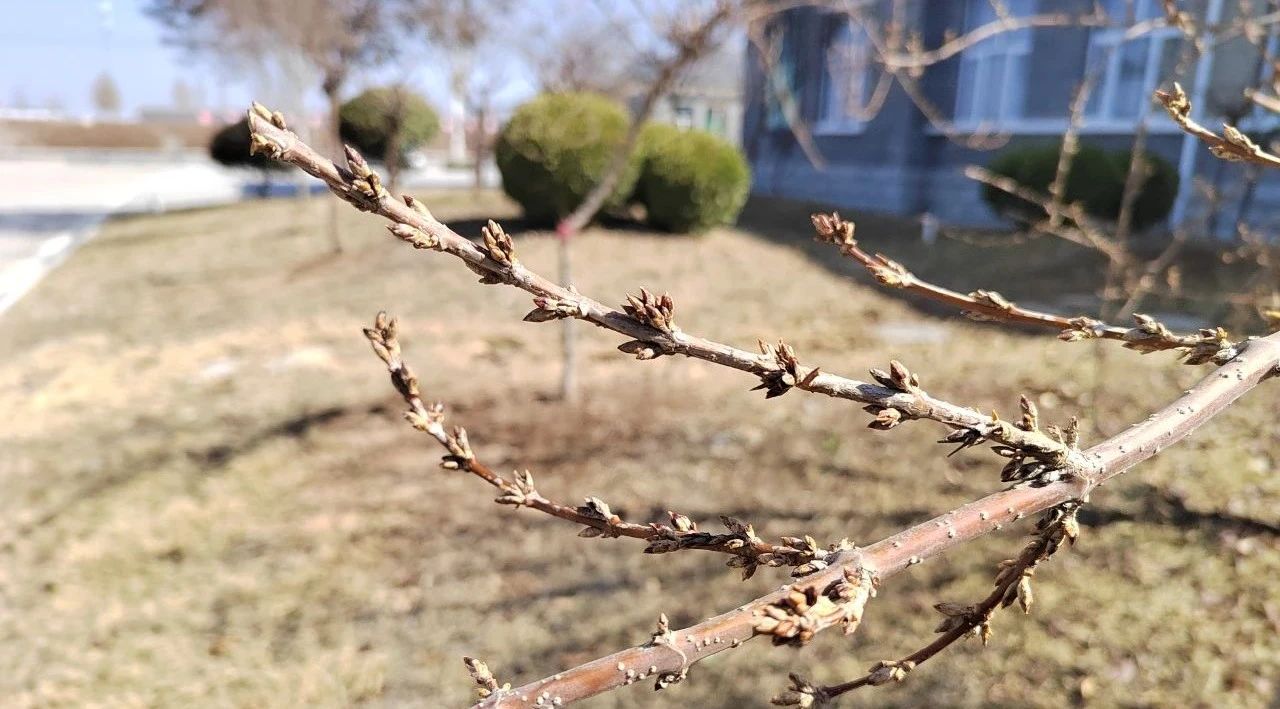 17114233229523.jpg 0f78a2292f1750d870f389a33b566e7c.jpg